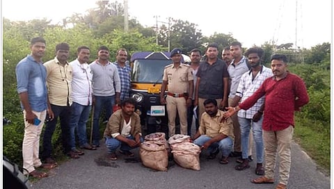 ಶಿವಮೊಗ್ಗ: ಜಿಂಕೆ ಮಾಂಸ ಮಾರಾಟ ನಡೆಸಿದ್ದ ಇಬ್ಬರ ಬಂಧನ, 103 ಕೆಜಿ ಜಿಂಕೆ ಮಾಂಶ ವಶ