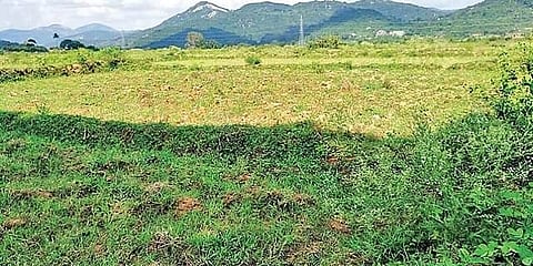 ಸಂಗ್ರಹ ಚಿತ್ರ