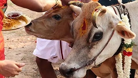ಸಾಂದರ್ಭಿಕ ಚಿತ್ರ