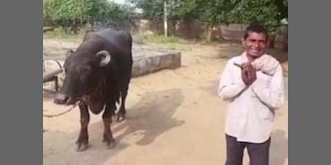 ಎಮ್ಮೆ ವಿರುದ್ಧವೇ ದೂರು ನೀಡಿದ ಭೂಪ