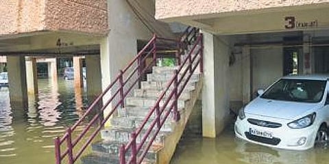 ಸಂಗ್ರಹ ಚಿತ್ರ