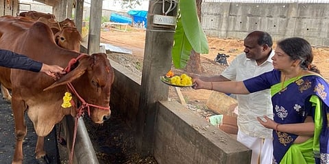 ಗೋ ಪೂಜೆ ನೆರವೇರಿಸಿದ ಕುಮಾರಸ್ವಾಮಿ