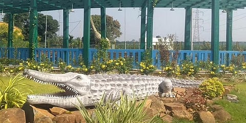 ಕ್ರೊಕೋಡೈಲ್ ವ್ಯೂ ರ್ಯಾಂಪ್