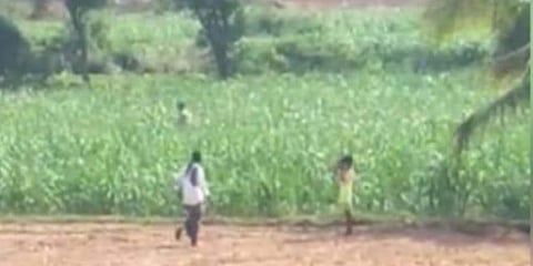 ಕಬ್ಬಿನ ಗದ್ದೆಯಿಂದ ವ್ಯಕ್ತಿ ಪರಾರಿಯಾಗುತ್ತಿರುವ ಚಿತ್ರ