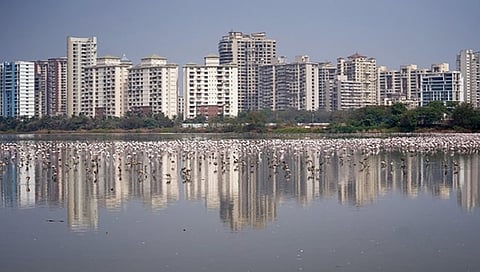 ಸಂಗ್ರಹ ಚಿತ್ರ