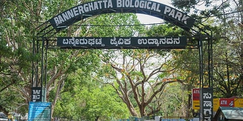 ಬನ್ನೇರುಘಟ್ಟ ಜೈವಿಕ ಉದ್ಯಾನವನ