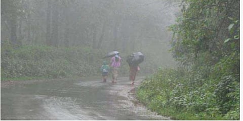ಮಳೆಯ ಸಾಂದರ್ಭಿಕ ಚಿತ್ರ