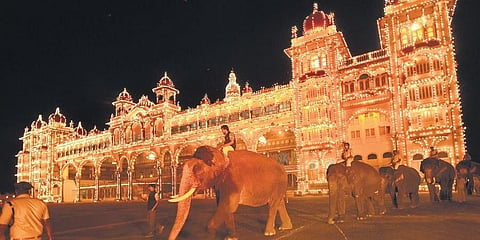 ಅರಮನೆ ಆವರಣದಲ್ಲಿ ನಡಿಗೆ ತಾಲೀಮು ನಡೆಸುತ್ತಿರುವ ಆನೆಗಳು.