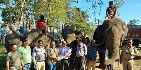 ಮಧ್ಯ ಪ್ರದೇಶಕ್ಕೆ ತೆರಳುತ್ತಿರುವ ಆನೆಗಳು