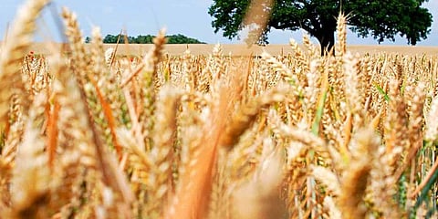 ಪ್ರಾತಿನಿಧಿಕ ಚಿತ್ರ