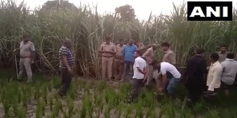 ಯುವಕನ ಶವ ಕಂಡುಬಂದ ಕಬ್ಬಿನ ಗದ್ದೆ (ಚಿತ್ರ-ಎಎನ್ಐ)