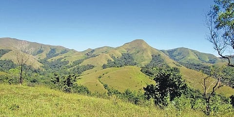ಪಶ್ಚಿಮ ಘಟ್ಟ (ಸಂಗ್ರಹ ಚಿತ್ರ)