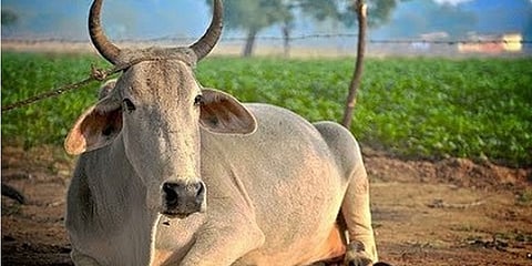 ಪ್ರಾತಿನಿಧಿಕ ಚಿತ್ರ