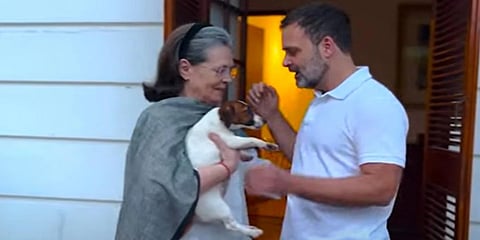 ತಾಯಿಗೆ ನಾಯಿಮರಿ ಗಿಫ್ಟ್ ನೀಡಿದ ರಾಹುಲ್ ಗಾಂಧಿ