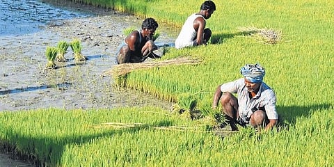 ಪ್ರಾತಿನಿಧಿಕ ಚಿತ್ರ