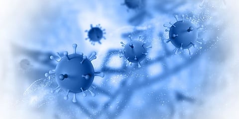H3N2 ಇನ್ಫ್ಲುಯೆಂಜಾ (ಸಾಂಕೇತಿಕ ಚಿತ್ರ)