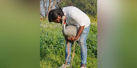 ಸರಸ್ ಕ್ರೇನ್ ಜೊತೆಗೆ ಆರಿಫ್ ಖಾನ್