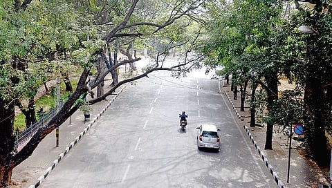 ಸಂಗ್ರಹ ಚಿತ್ರ