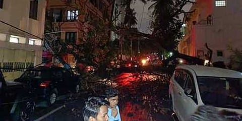 ಮರದ ಕೊಂಬೆ ಹಾಗೂ ವಿದ್ಯುತ್ ಕಂಬ ಬಿದ್ದ ಸ್ಥಳ