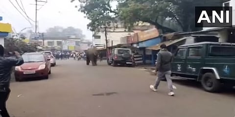 ಜನವಸತಿ ಪ್ರದೇಶಕ್ಕೆ ನುಗ್ಗಿದ್ದ ಕಾಡಾನೆ