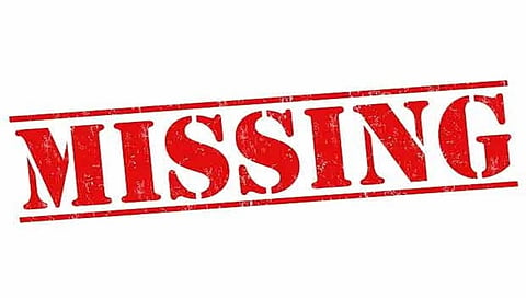 Two Japanese tourists go missing in Jaipur