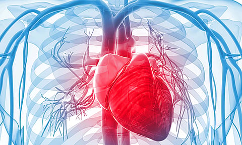 Health| தனியாக இருக்கும்போதோ, திடீரெனவோ மாரடைப்பு வந்தால் என்ன செய்ய வேண்டும்?