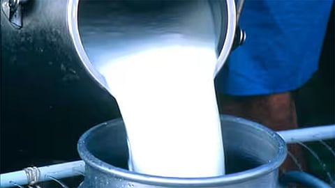 வடசென்னையில் ஆவின் பால் வினியோகம் பாதிப்பு