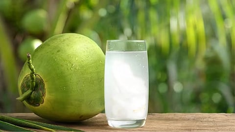 ரத்த அழுத்தம் கொண்டவர்கள் தினமும் இளநீர் குடிக்கலாமா?