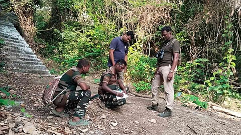 ஆனைமலை, பொள்ளாச்சியில் வரையாடு கணக்கெடுப்பு பணிகள் தொடங்கியது