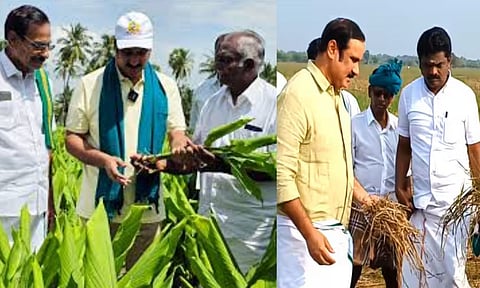 "யானைப் பசிக்கு சோளப்பொரியா?" - நெல் கொள்முதல் விலையை உயர்த்த அன்புமணி ராமதாஸ் வலியுறுத்தல்!