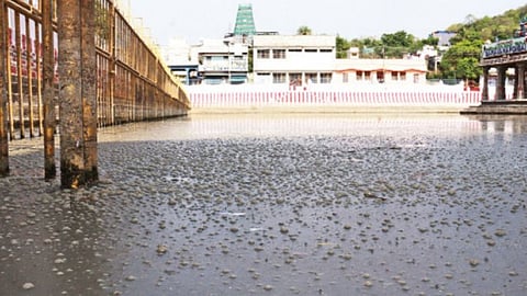 திருத்தணி முருகன் கோவில் சரவணப்பொய்கை குளத்தில் துர்நாற்றம்: குளத்தில் இறங்க அஞ்சும் பக்தர்கள்!