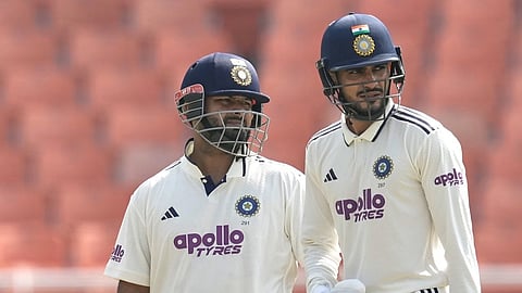 gill, pant