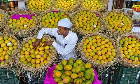 ஜப்பானை தொடர்ந்து இந்திய மாம்பழங்கள் இறக்குமதியை நிறுத்திய நேபாள்