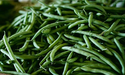beans