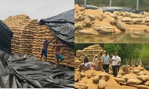 Thanjavur Rain Damage