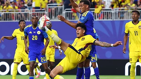 fifa world cup