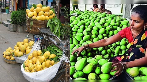 Banganapalli Mangoes