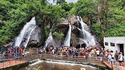 குற்றால அருவிகளில் அலைமோதும் சுற்றுலா பயணிகள் கூட்டம்
