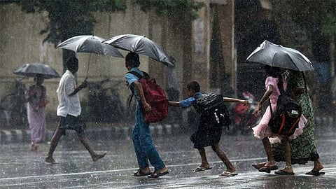Rain