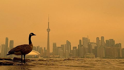 Toronto Wildfire Smoke