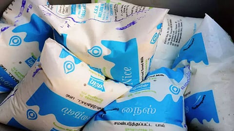 Aavin milk pockets