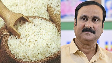 அரிசி விலை உயர்வைக் கட்டுப்படுத்த அரசு நடவடிக்கை எடுக்க வேண்டும்!- அன்புமணி வலியுறுத்தல்