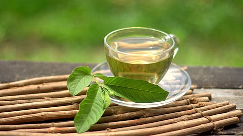 Guava Leaves
