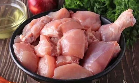 Chicken
