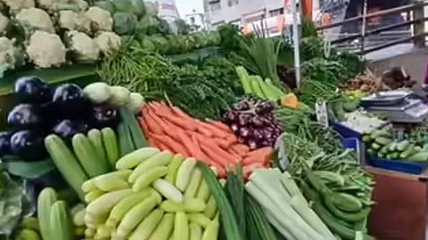 விற்பனைக்கு வைக்கப்பட்டுள்ள காய்கறிகள்