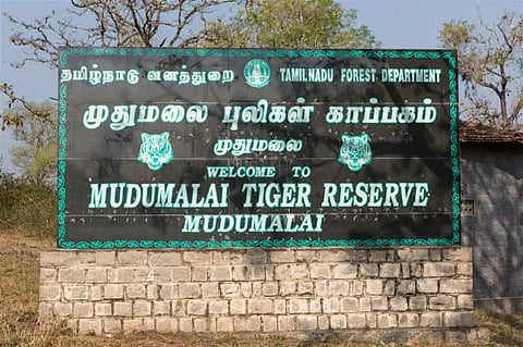 Muthumalai tiger reserve