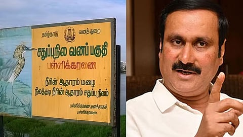 பள்ளிக்கரணை சதுப்பு நிலம்- அன்புமணி ராமதாஸ்