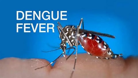 Dengue Fever