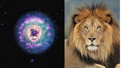 NASA Lion Nebula - Lion