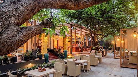Delhi Gen Z quits ₹15 lakh job to open café